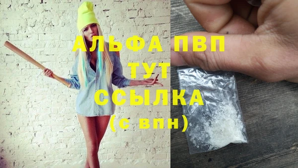 прущие крисы Верея