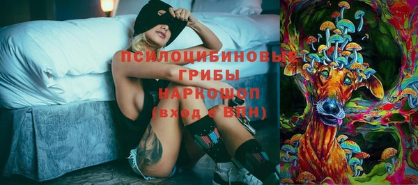 прущие крисы Верея